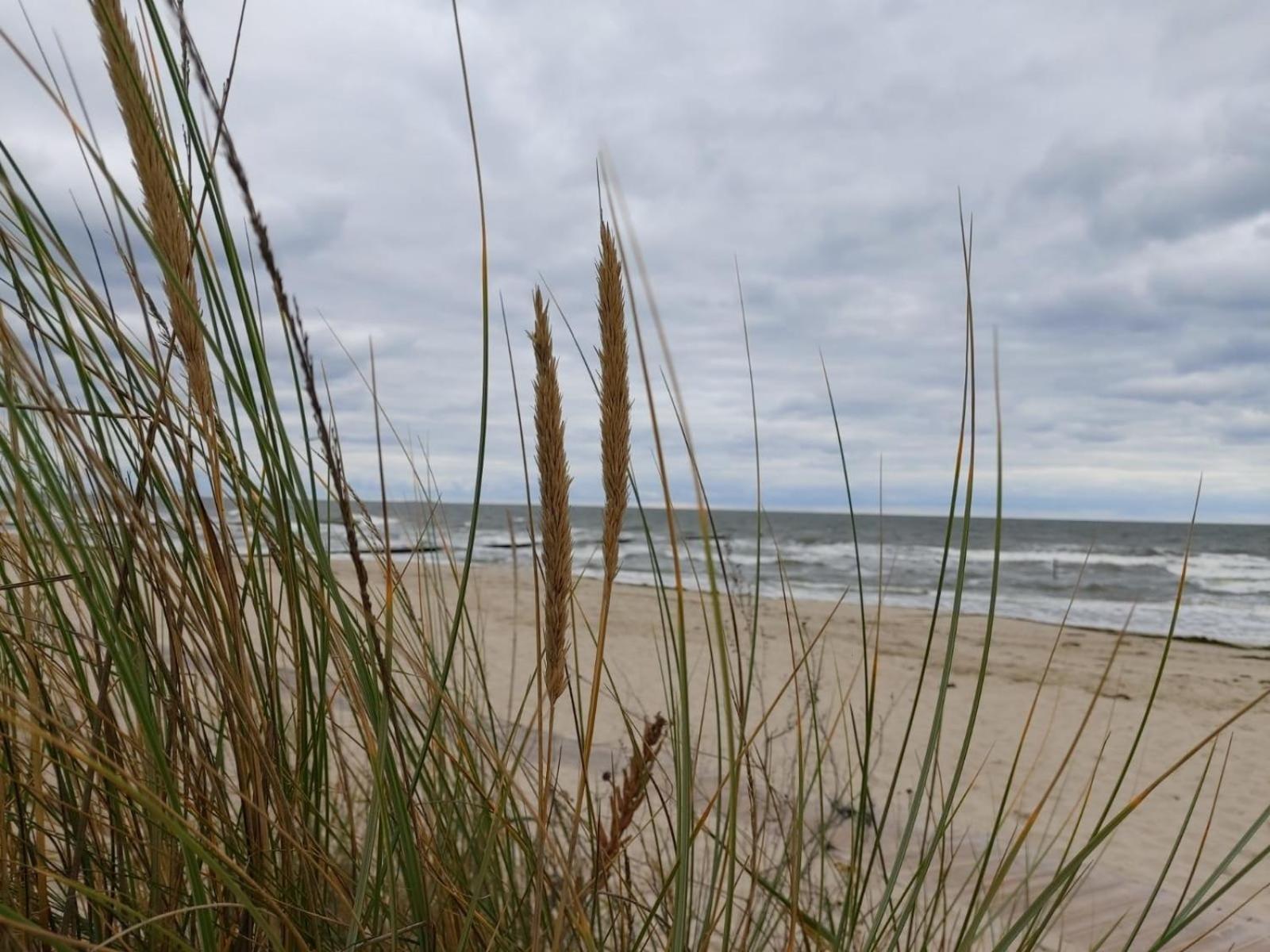 Ostsee Ferienhaus Usedom Hundefreundlich Familie Stopp Haus 22 Lutow 외부 사진
